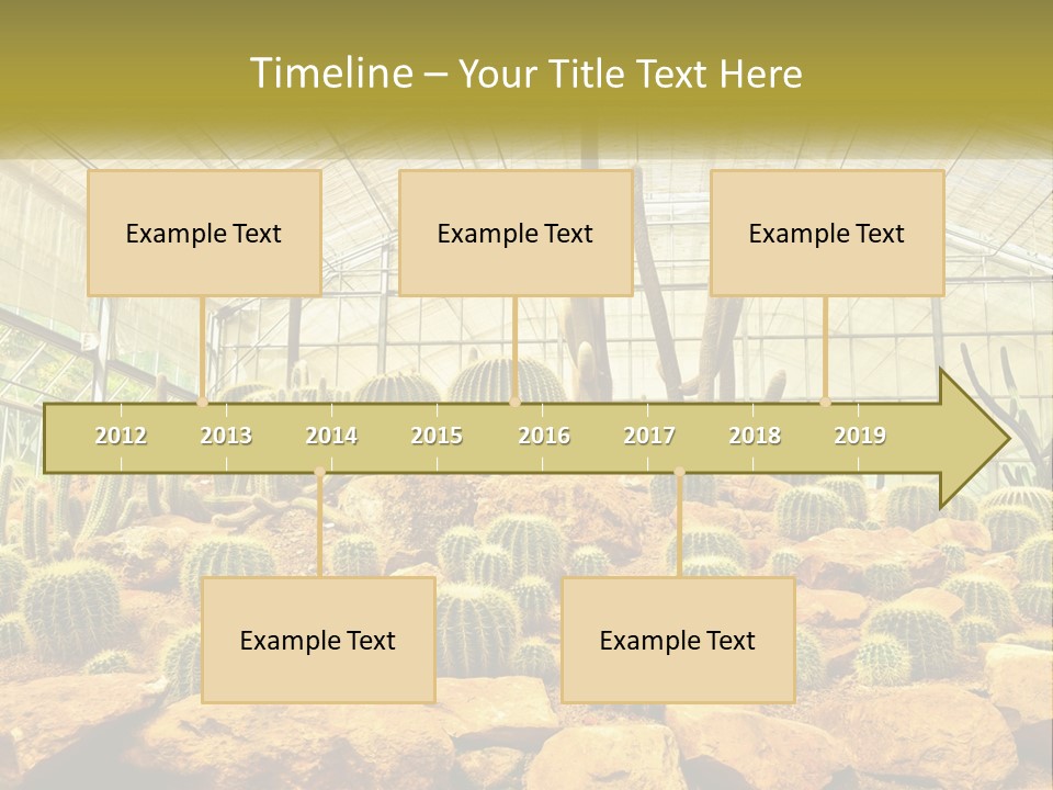 Greenhouse Cacti PowerPoint Template