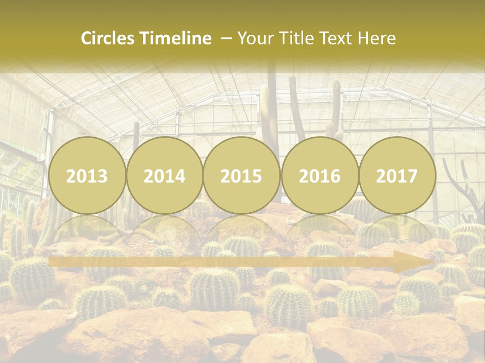 Greenhouse Cacti PowerPoint Template