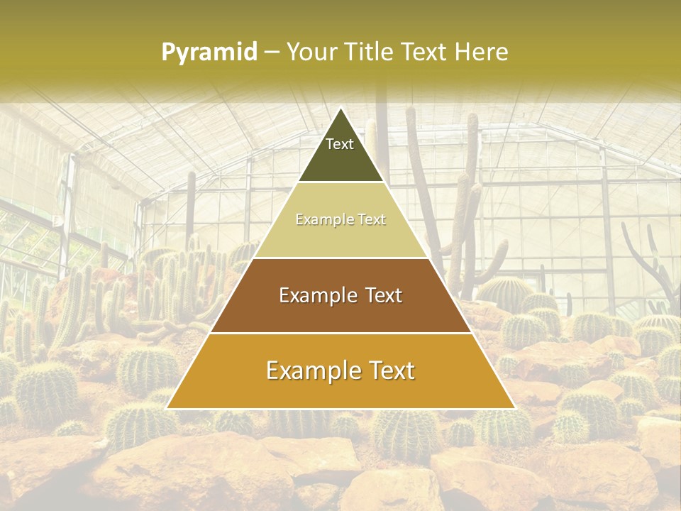 Greenhouse Cacti PowerPoint Template
