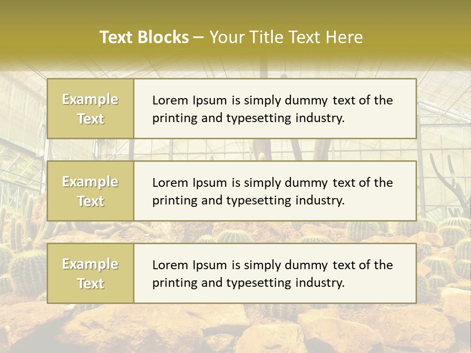 Greenhouse Cacti PowerPoint Template