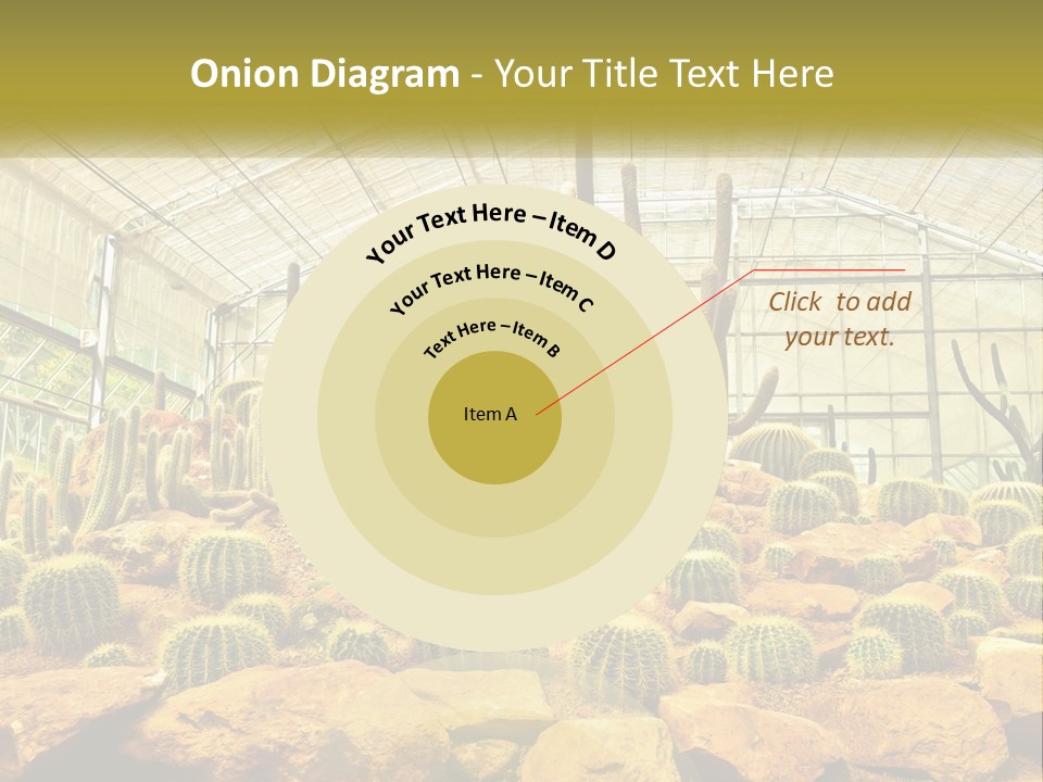 Greenhouse Cacti PowerPoint Template
