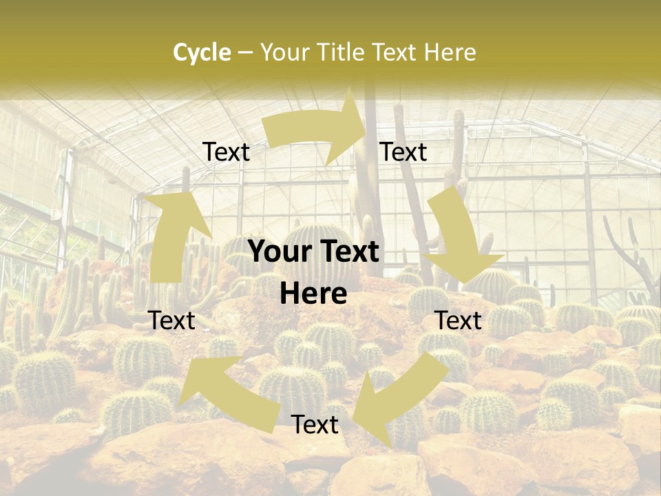 Greenhouse Cacti PowerPoint Template