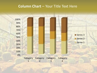 Greenhouse Cacti PowerPoint Template