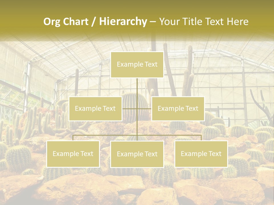 Greenhouse Cacti PowerPoint Template