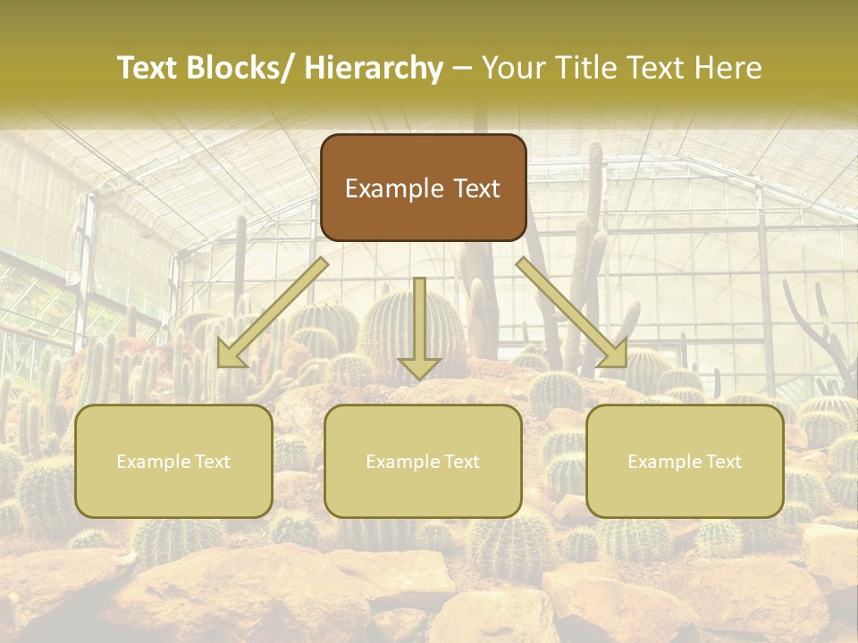 Greenhouse Cacti PowerPoint Template