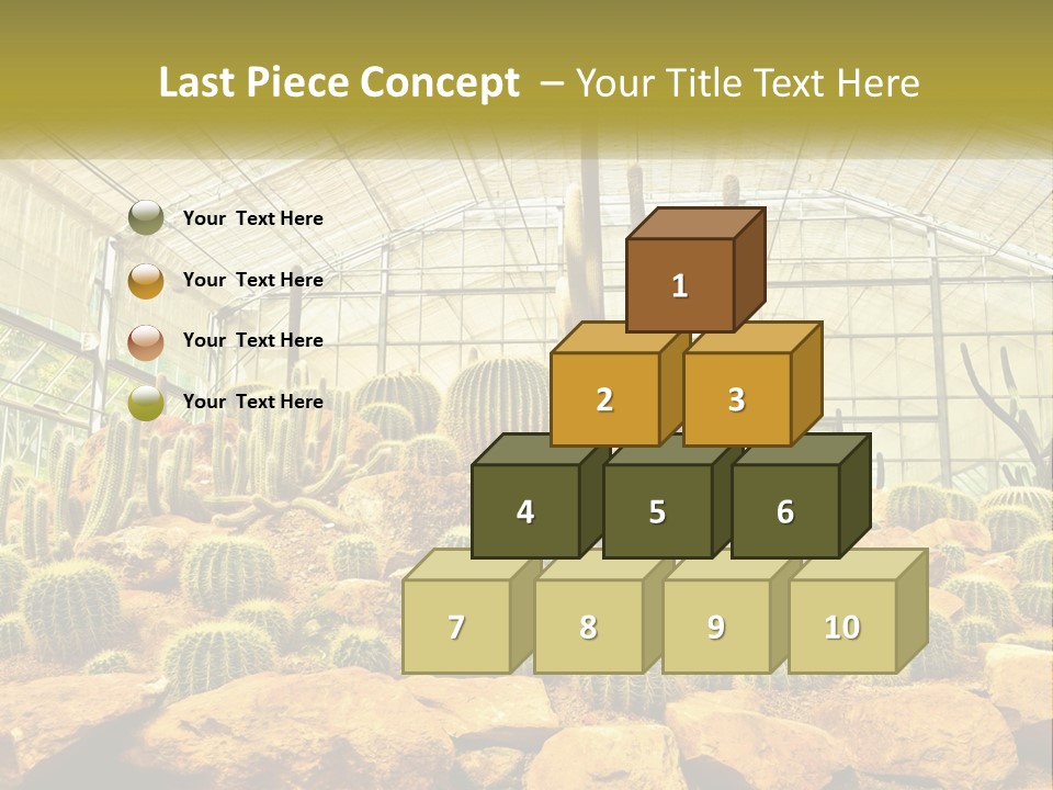 Greenhouse Cacti PowerPoint Template