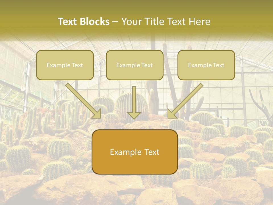 Greenhouse Cacti PowerPoint Template