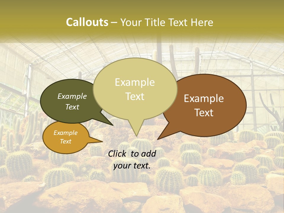 Greenhouse Cacti PowerPoint Template