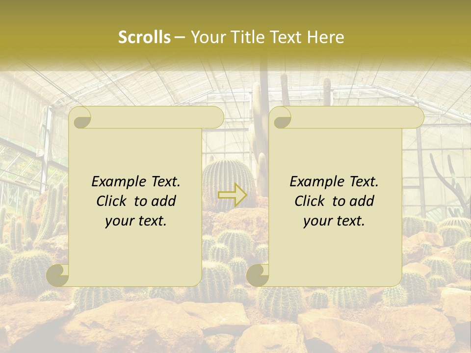 Greenhouse Cacti PowerPoint Template