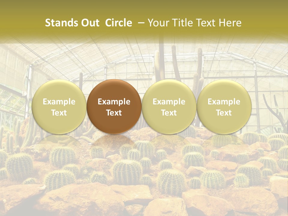Greenhouse Cacti PowerPoint Template