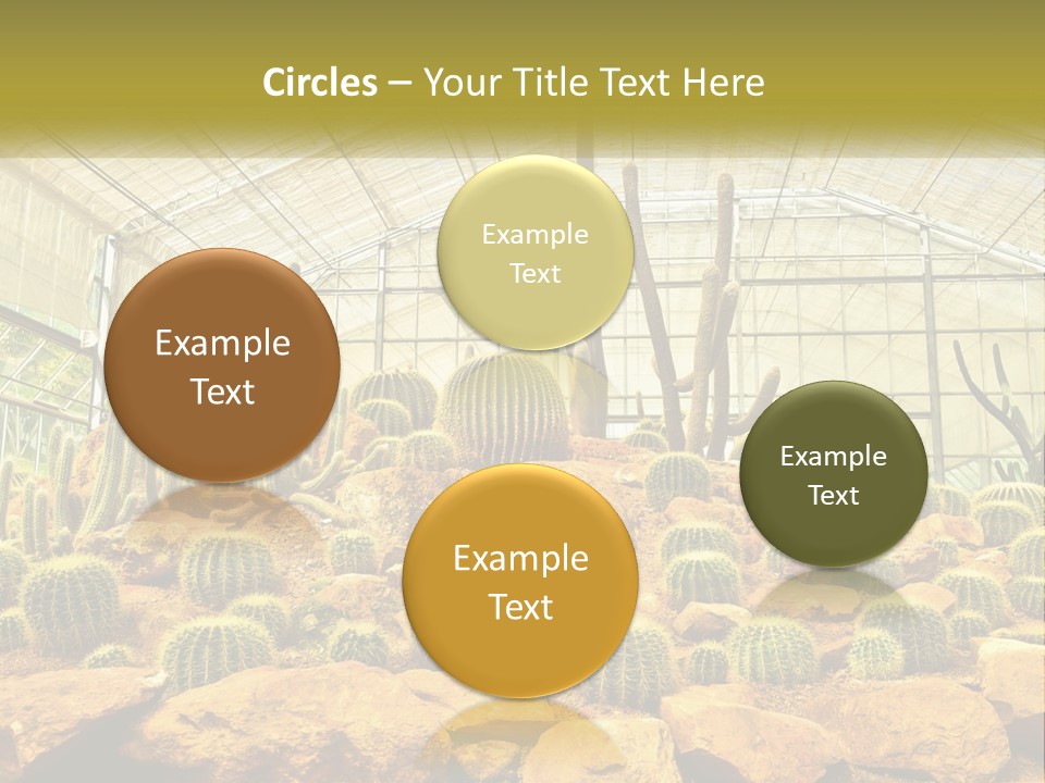 Greenhouse Cacti PowerPoint Template