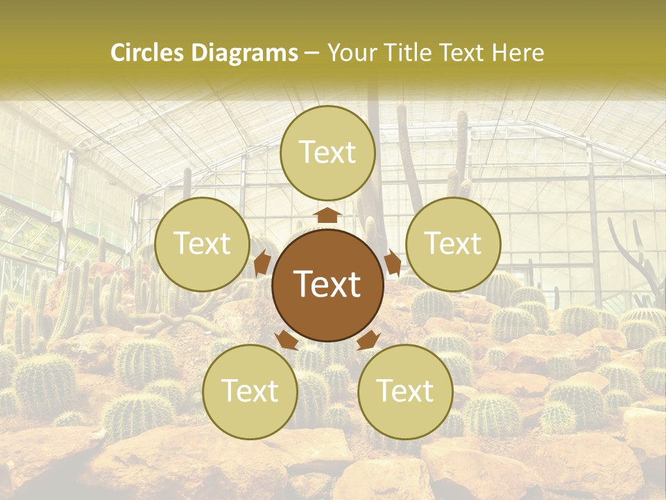 Greenhouse Cacti PowerPoint Template