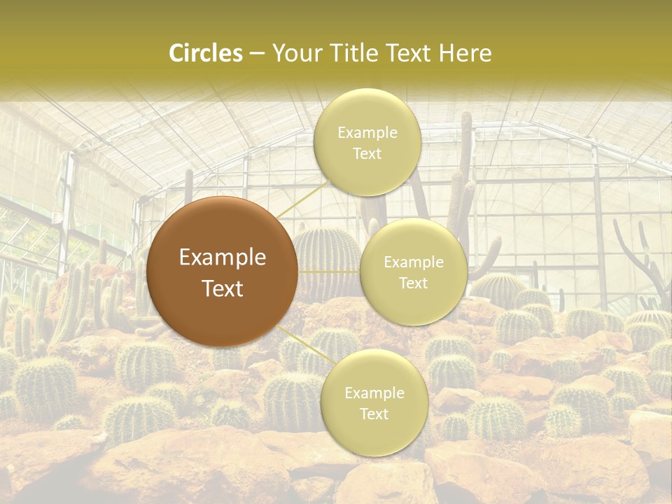 Greenhouse Cacti PowerPoint Template
