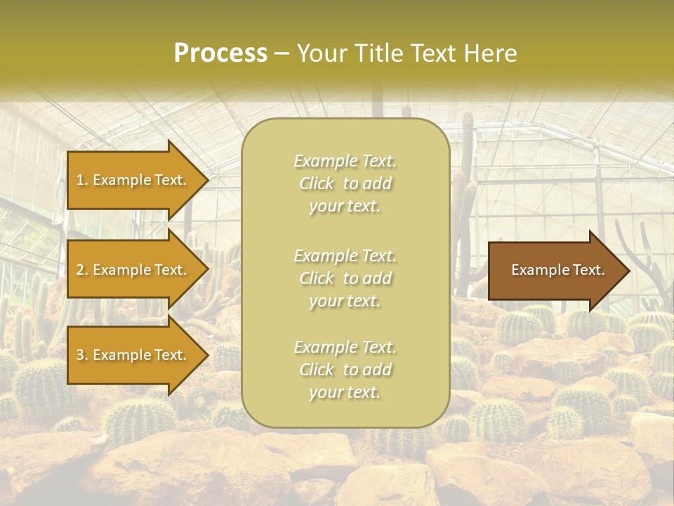 Greenhouse Cacti PowerPoint Template