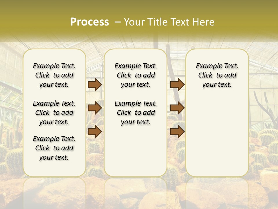 Greenhouse Cacti PowerPoint Template