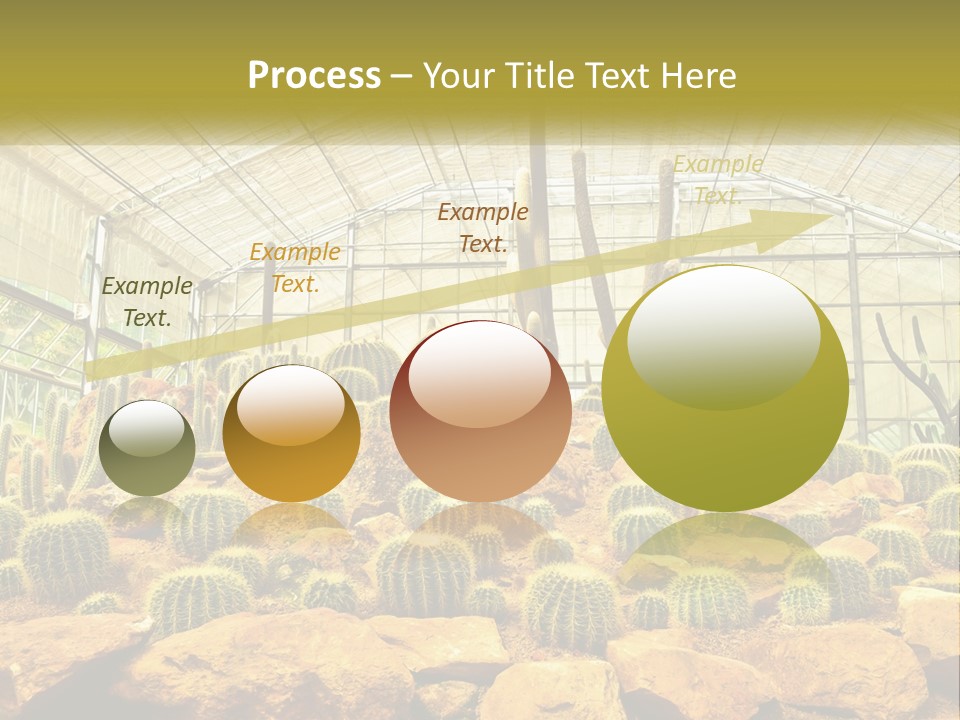 Greenhouse Cacti PowerPoint Template