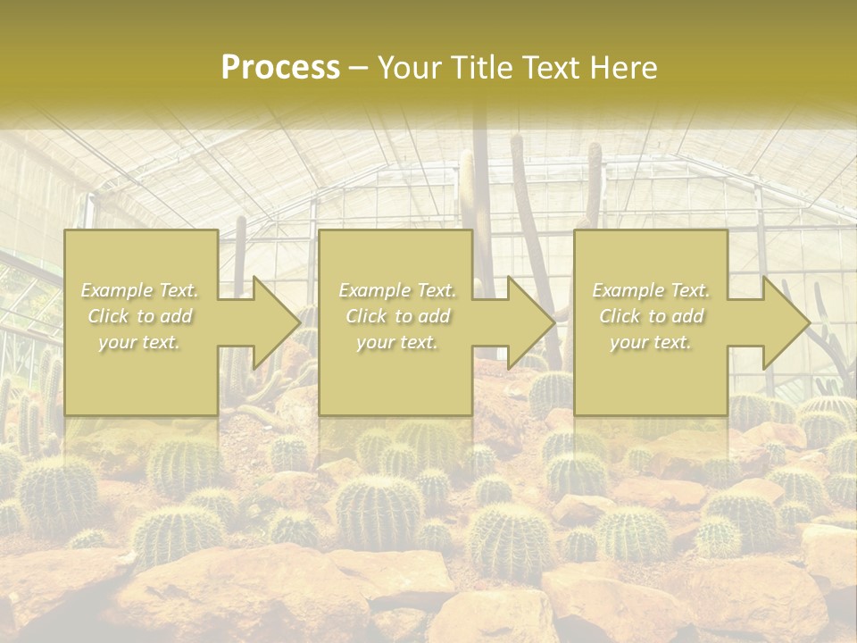 Greenhouse Cacti PowerPoint Template