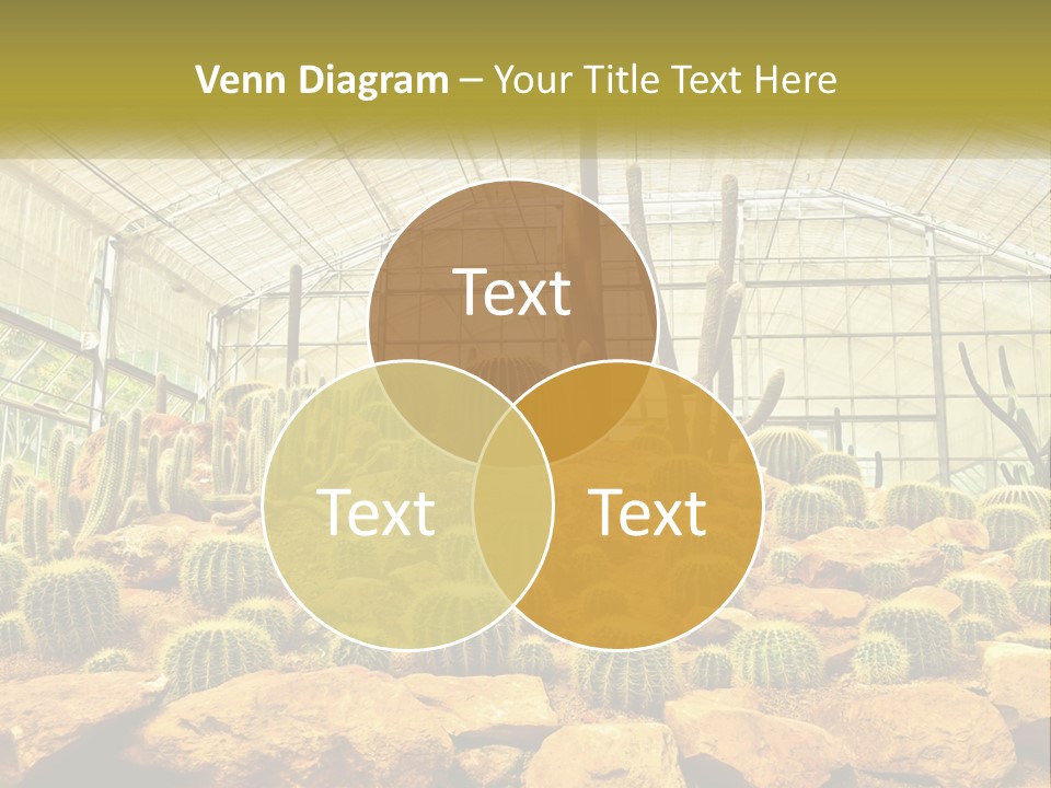 Greenhouse Cacti PowerPoint Template