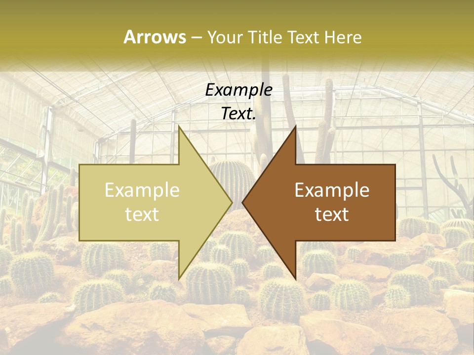 Greenhouse Cacti PowerPoint Template