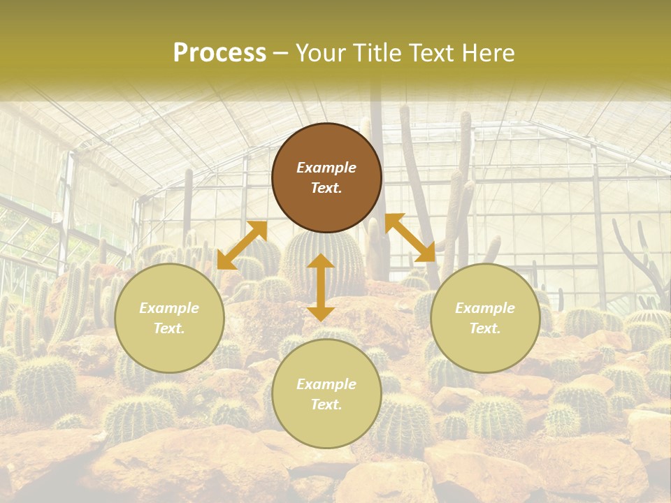Greenhouse Cacti PowerPoint Template