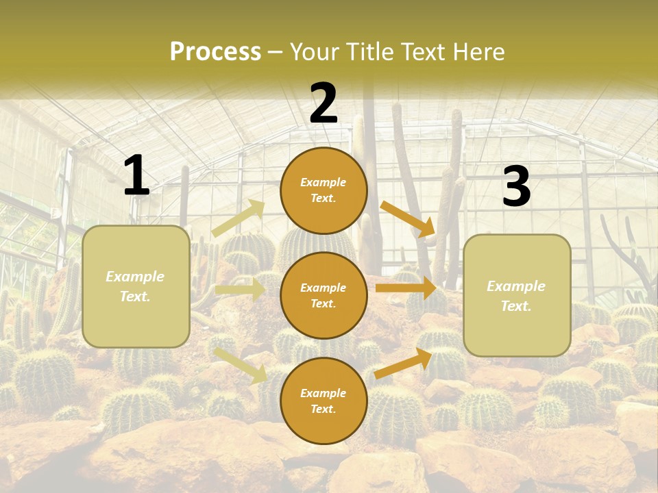 Greenhouse Cacti PowerPoint Template