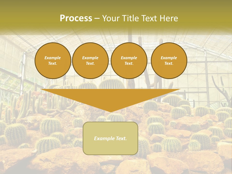 Greenhouse Cacti PowerPoint Template