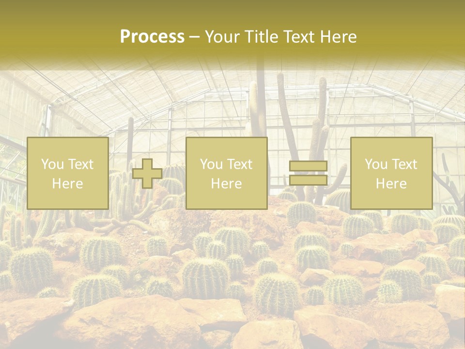 Greenhouse Cacti PowerPoint Template