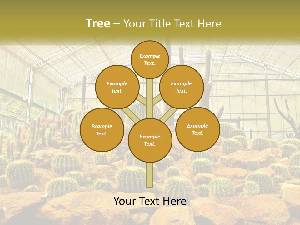 Greenhouse Cacti PowerPoint Template