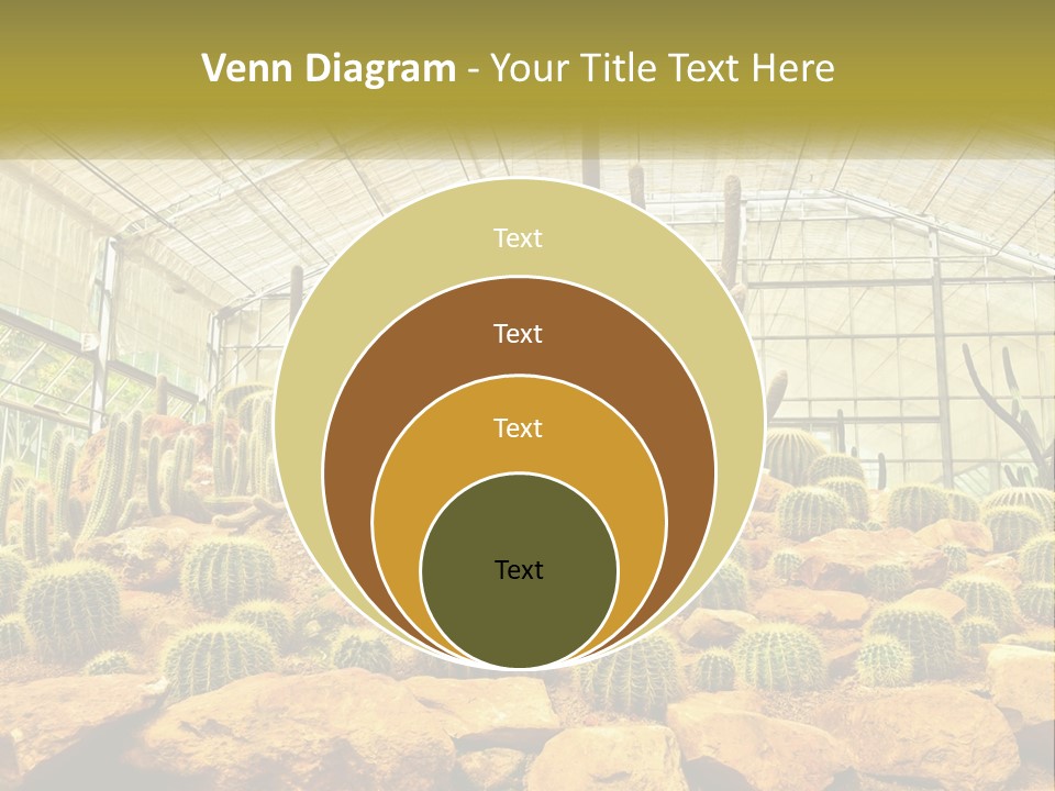 Greenhouse Cacti PowerPoint Template