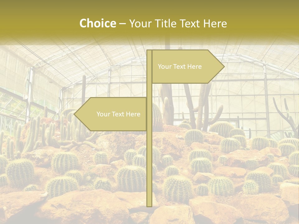 Greenhouse Cacti PowerPoint Template