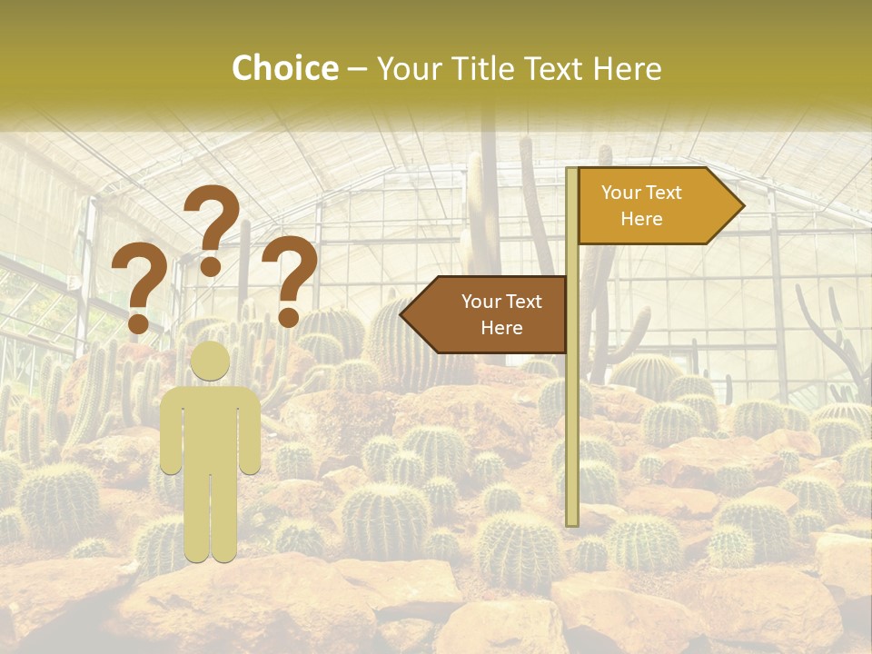 Greenhouse Cacti PowerPoint Template