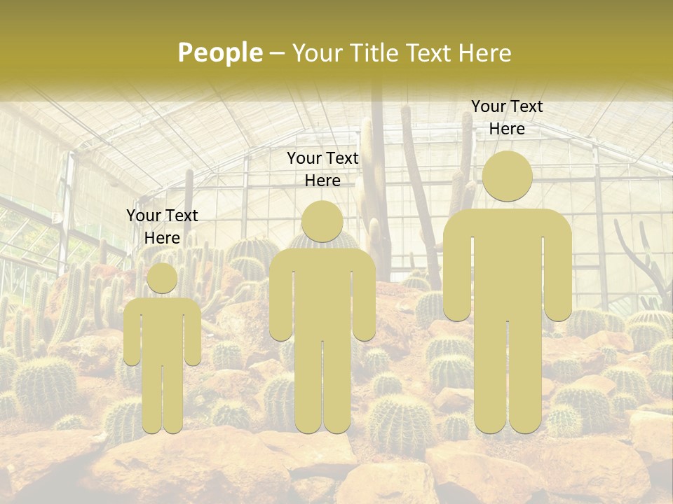 Greenhouse Cacti PowerPoint Template