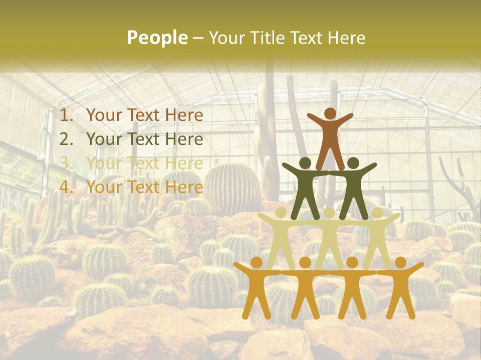 Greenhouse Cacti PowerPoint Template