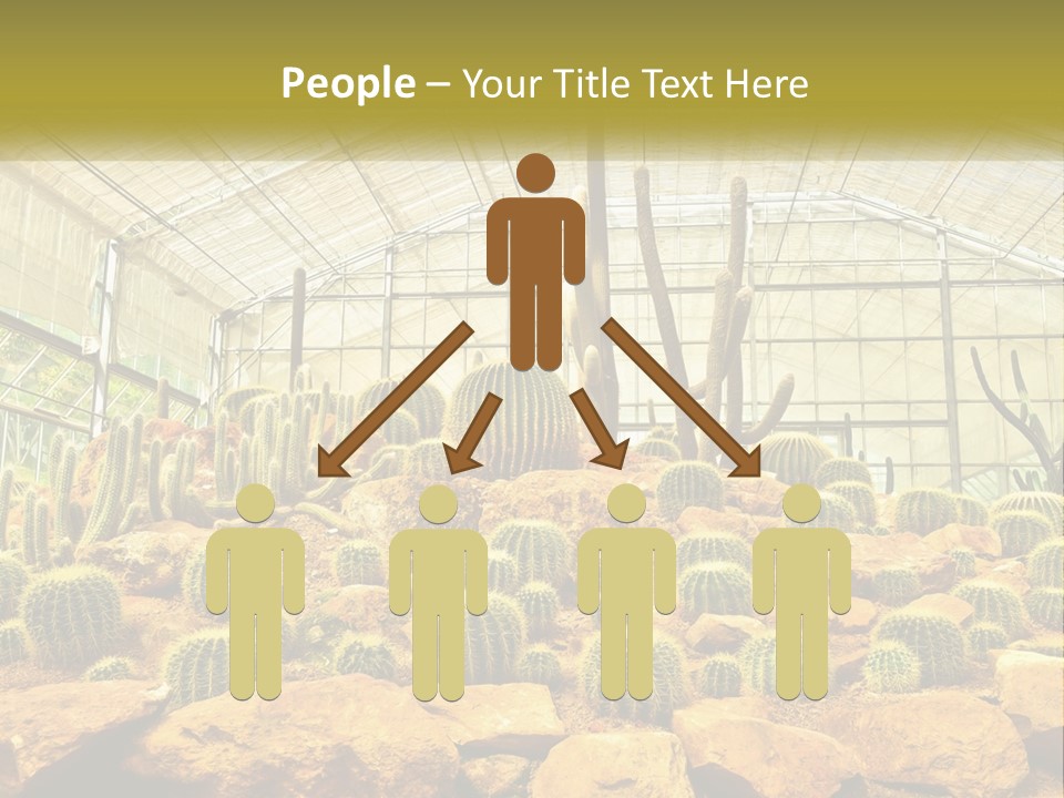 Greenhouse Cacti PowerPoint Template