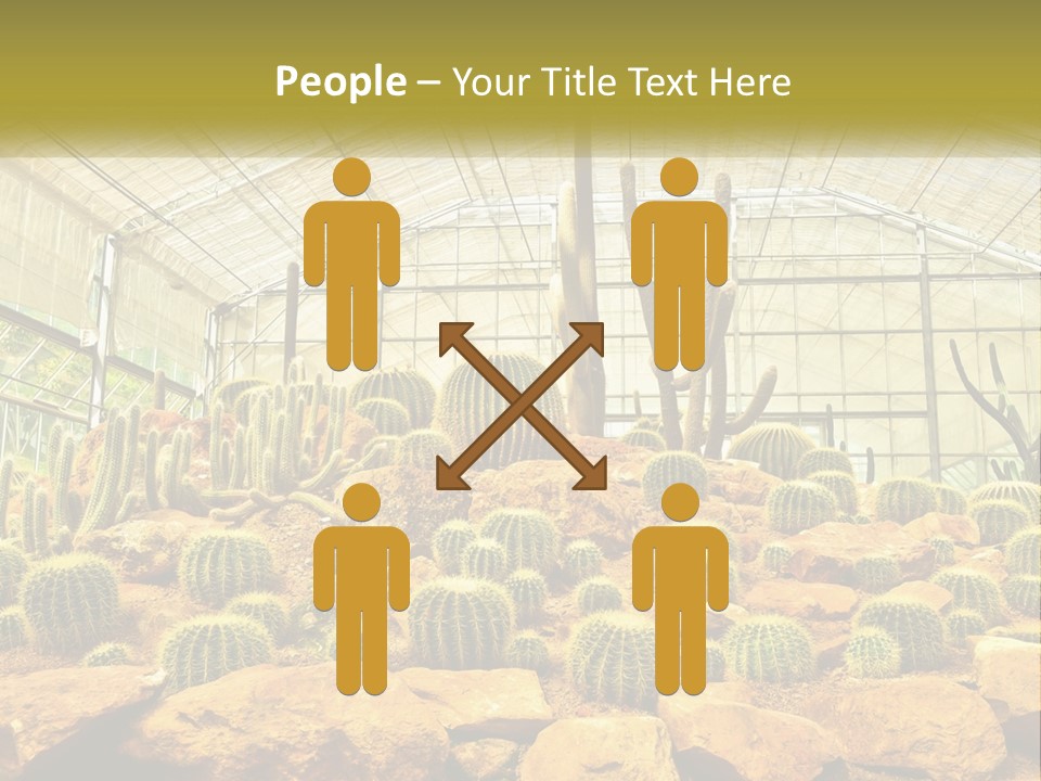 Greenhouse Cacti PowerPoint Template