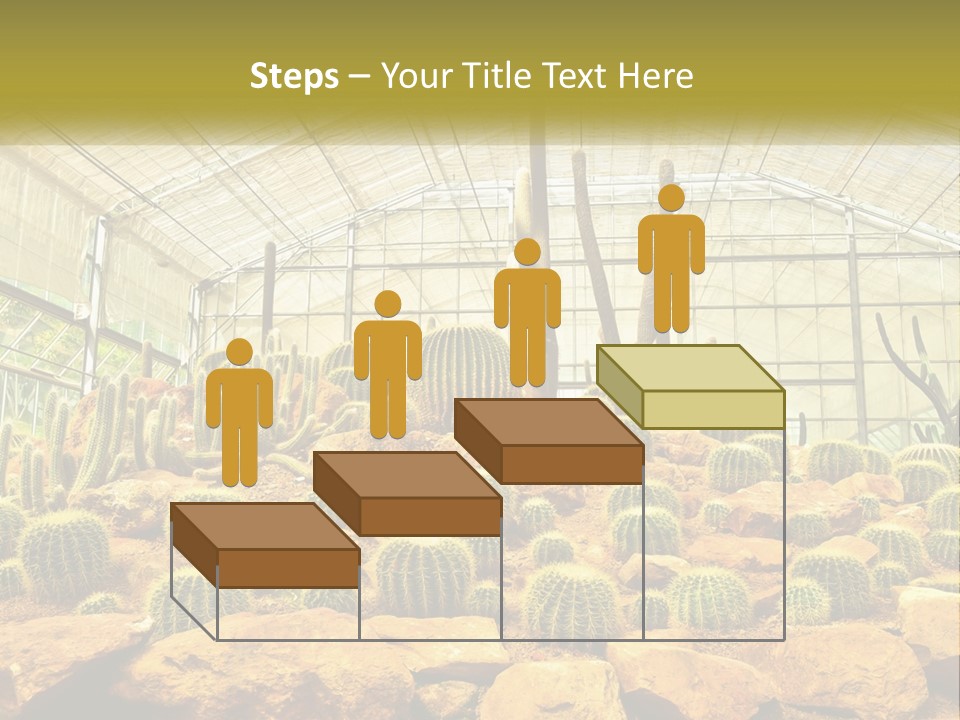 Greenhouse Cacti PowerPoint Template