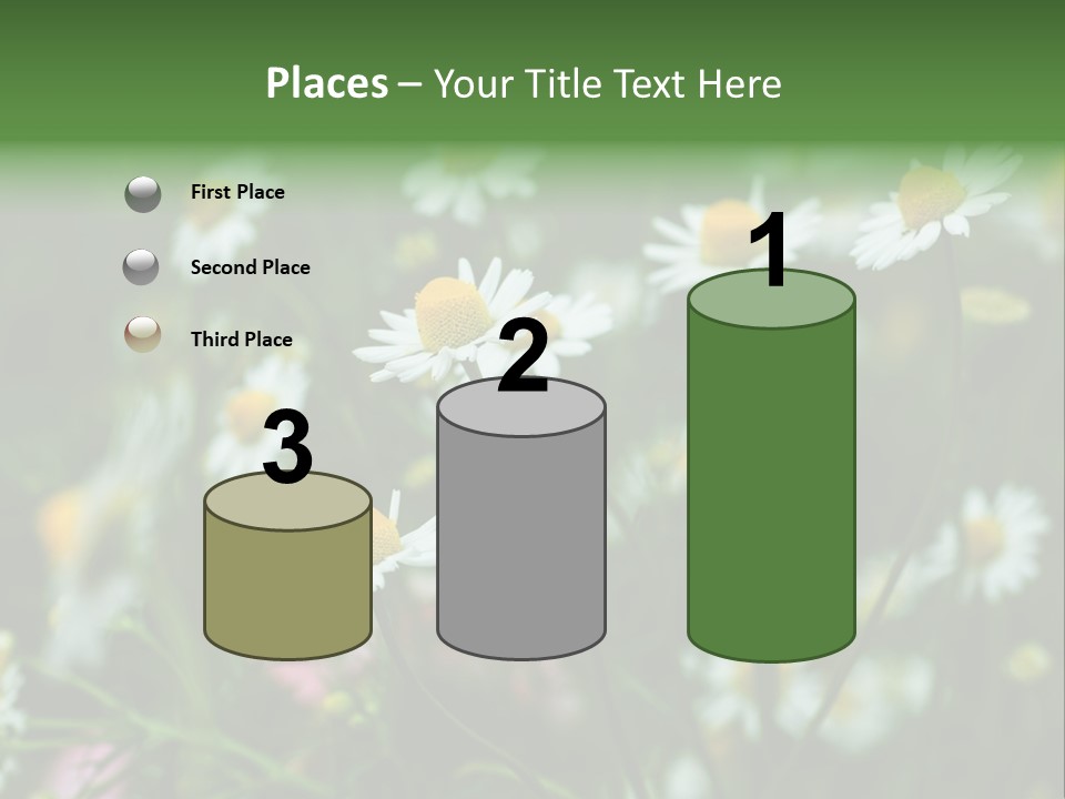 A Field Of Daisies PowerPoint Template