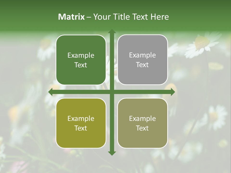 A Field Of Daisies PowerPoint Template