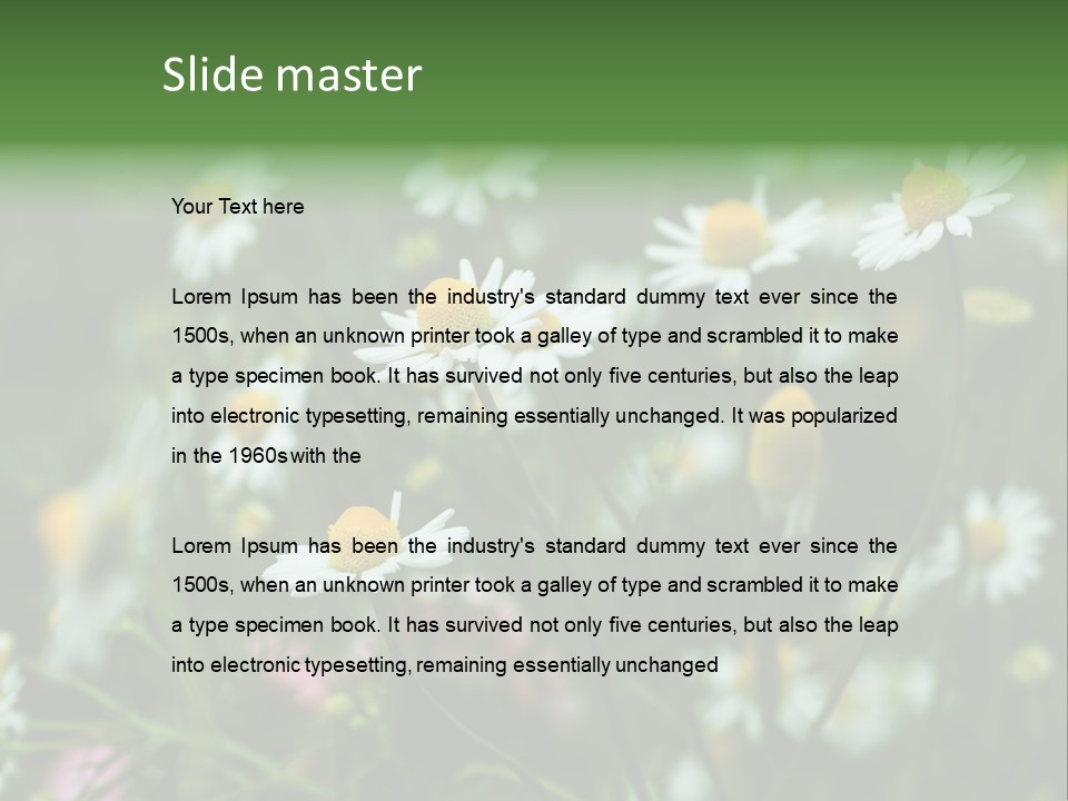 A Field Of Daisies PowerPoint Template