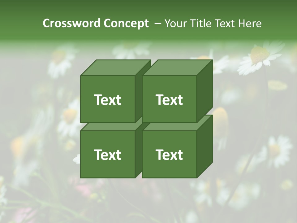 A Field Of Daisies PowerPoint Template