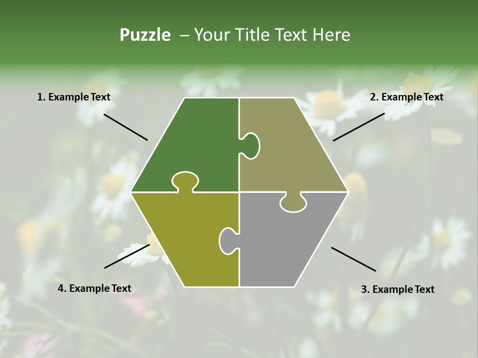 A Field Of Daisies PowerPoint Template