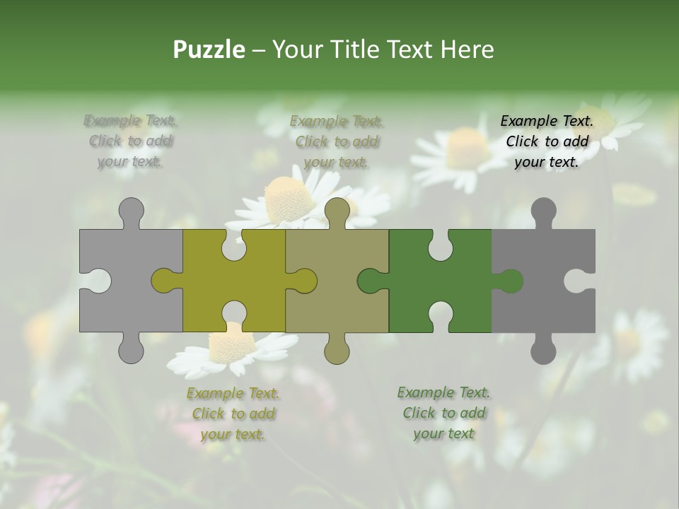 A Field Of Daisies PowerPoint Template