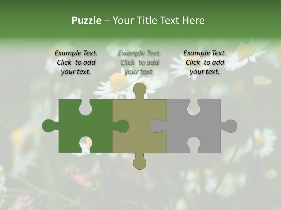 A Field Of Daisies PowerPoint Template