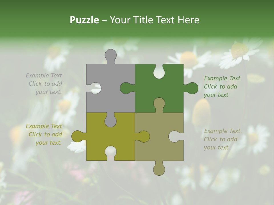A Field Of Daisies PowerPoint Template