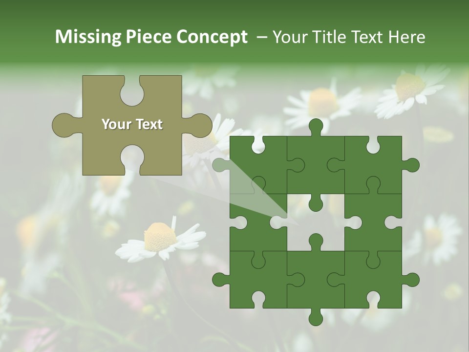 A Field Of Daisies PowerPoint Template