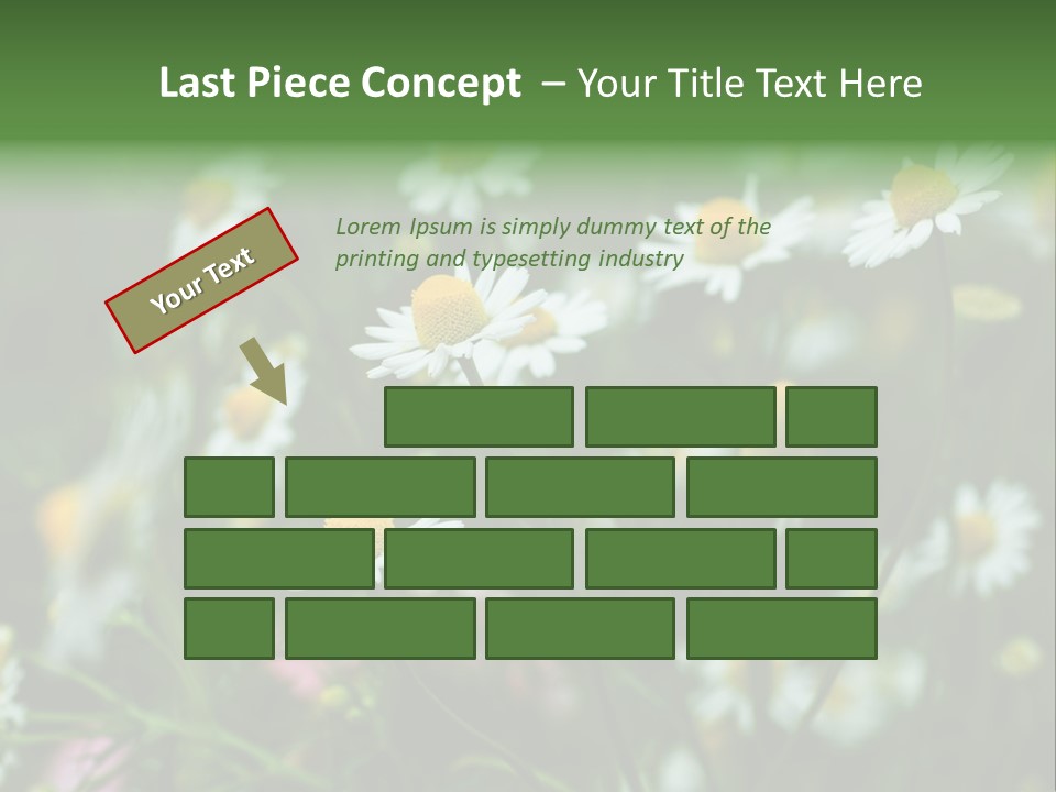 A Field Of Daisies PowerPoint Template