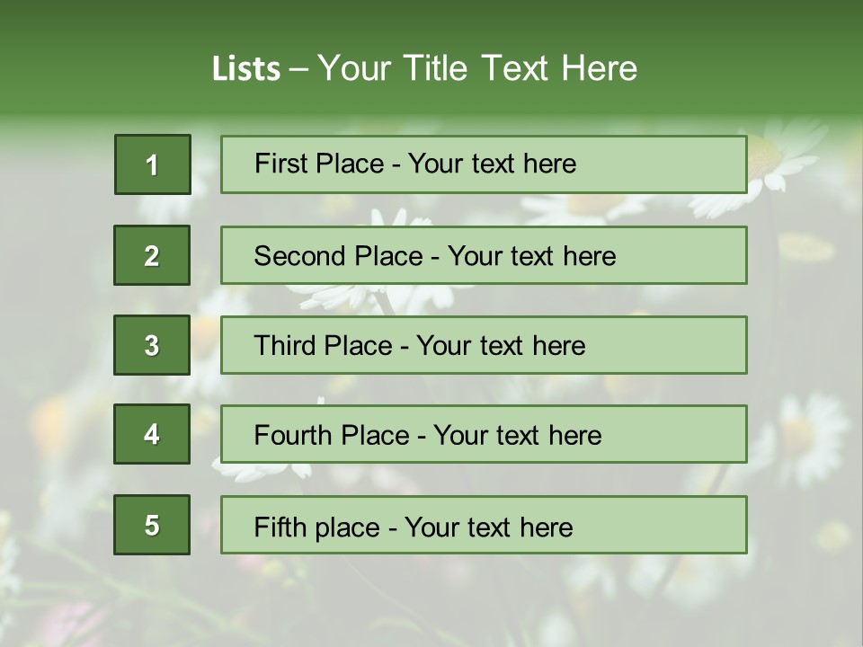 A Field Of Daisies PowerPoint Template