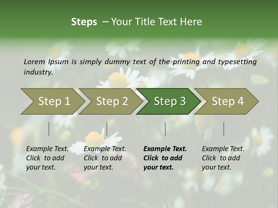A Field Of Daisies PowerPoint Template