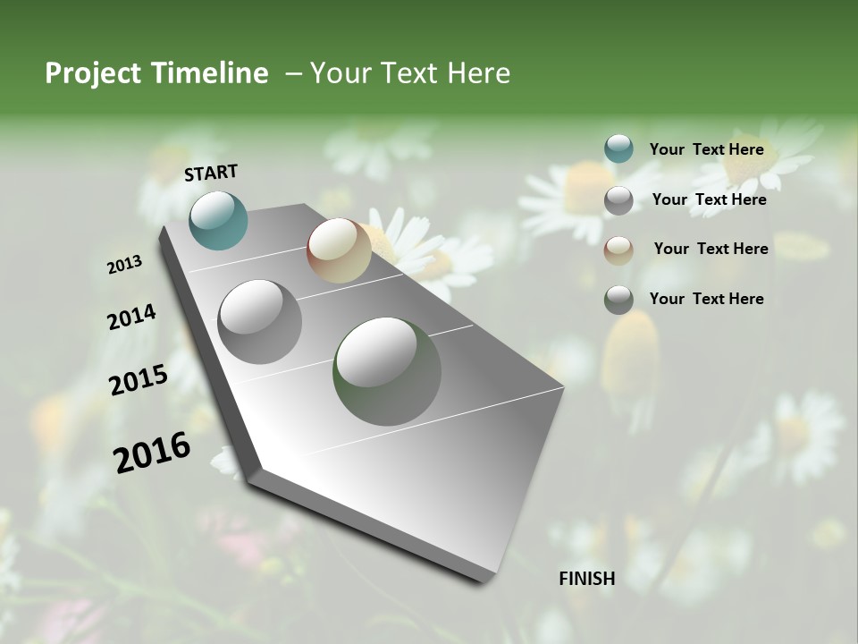 A Field Of Daisies PowerPoint Template