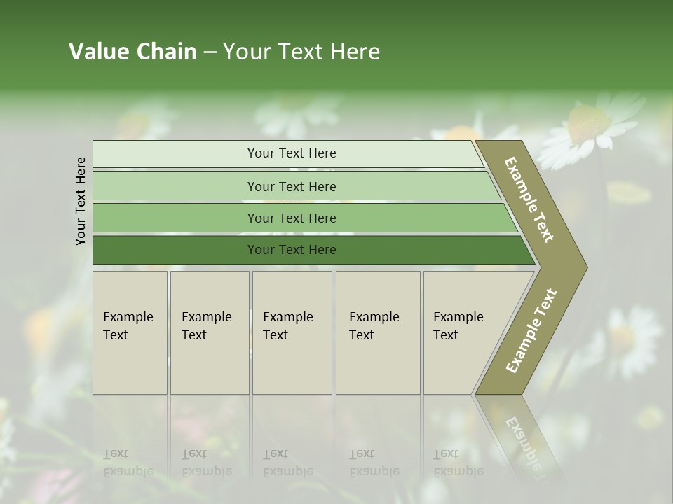 A Field Of Daisies PowerPoint Template